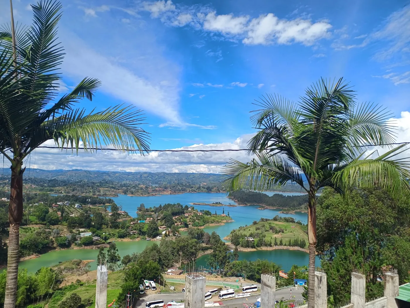 Embalse Peñol-Guatapé visto entre palmas desde una orilla